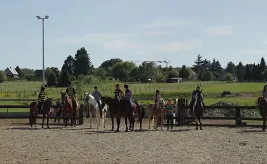 Buitenpiste paarden